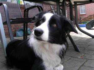 zum sortieren April07 261.jpg